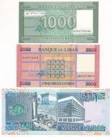 Libanon 1988. 1000L + DN (1998-1999) 5000L + DN (2011-2012) 1000L T:UNC
Lebanon 1988. 1000 Livres +...