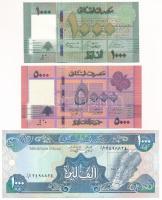 Libanon 1988. 1000L + DN (1998-1999) 5000L + DN (2011-2012) 1000L T:UNC
Lebanon 1988. 1000 Livres +...