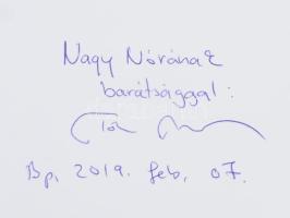 Tóth Tibor: Társadalmi problémák a vidéki Magyarországon és szociálpolitikai viták a törvényhozásban...