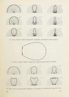 Lamoth Emil: Elektroakusztika. Bp., é.n., Műszaki Könyvkiadó. Kiadói kopottas egészvászon-kötésben. ...