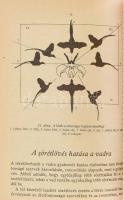Zalay Géza - Zalay József: A sörétlövés gyakorlata. Bp., 1982, Mezőgazdasági. Kiadói kopott papírköt...