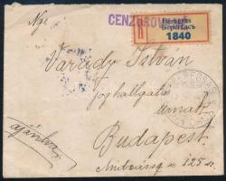 ~1920 Ajánlott levél Beregszászról 3 db csehszlovák, közte vágott bélyeggel Budapestre, kétnyelvű bélyegzéssel, cenzúrázva / Registered censored cover from Beregszász with Czechoslovak stamps