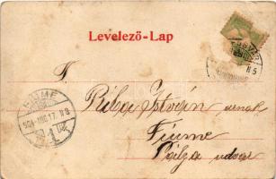 1904 Kaposvár, látkép 1860-ban. Szalai Ferenc kiadása (EB)