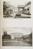 Somogy vármegye. Szerk.: Dr. Csánki Dezső. Magyarország vármegyéi és városai. Magyarország monográfi...