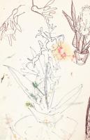 D. Borbély Gizella (1920-198?): Vázlatfüzet razokkal, feljegyzéssekkel, saját versekkel, 1971. Egyes...