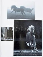 Balla András: Fotográfusok városa. Az esztergomi Art Fotográfia Stúdió jubileumi kiadványa. DEDIKÁLT...