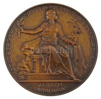 Berán Lajos (1882-1943) 1930. Goldberger Sam. F. és Fiai Részvénytársaság / Goldberger-Bemberg Kirakatverseny 1930 bronz emlékérem, peremén BRONZ fémjellel (65mm) T:XF kis ph. / Hungary 1930. Goldberger Sam. F. és Fiai Részvénytársaság / Goldberger-Bemberg Kirakatverseny 1930 (Goldberger Joint Stock Company / Goldberger-Bemberg Showcase Competition) bronze commemorative medallion, with BRONZ hallmark on edge (65mm) C:XF small edge error HP 1313.