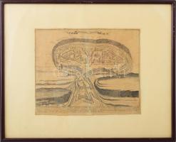 [Látképmetszet] Kamienec Podolski - A lengyel területen fekvő Kamenyec-Podolszkij erőssége, 1672. év...