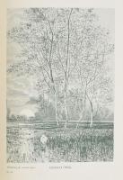 Bársony István: Erdőn, mezőn. Természeti és vadászati képek. Kiváló magyar művészek eredeti rajzaiva...