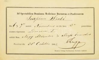 1862 Pest, orvosi vizsgálatról kiállított latin nyelvű igazolás, hátoldalán kézzel írt, részben magyar nyelvű feljegyzésekkel