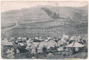 Ruszpolyána, Havasmező, Havaskő, Poienile de sub Munte, Ruspoiana (Máramaros); Karpathendorf / látkép. Berger Miksa utóda kiadása / general view (fa)