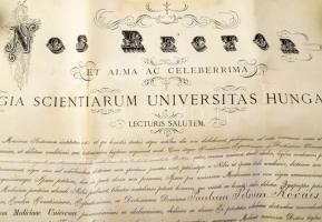 1895 Bp., a Királyi Magyar Tudományegyetem által kiállított orvosi diploma Kovács Péter Pál részére,...