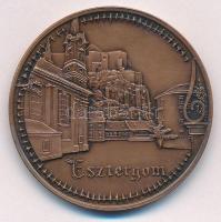 Lapis András (1942-) 1992. "MÉE Esztergomi Csoport / 100 éves a fillér" kétoldalas bronz e...