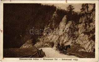 1929 Sztracenai-völgy, Stracenovska dolina, Stratena; Sztracenai völgy, lovaskocsi. Fejér Endre kiadása / valley, road, horse-drawn carriage (EK)