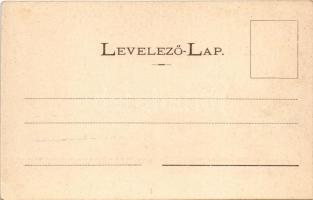 1900 Kolozsvár, Cluj; Erd. római katolikus státus palotái a főtéren, Reményik L. és Fiai üzlete, pia...