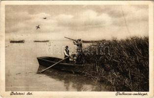 1924 Balaton, Vadkacsa vadászat, vadász puskával a csónakban (EK)