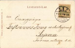 1903 Küry Klára. Schwarz J. kiadása, Kossak felvétele után (ázott sarok / wet corner)