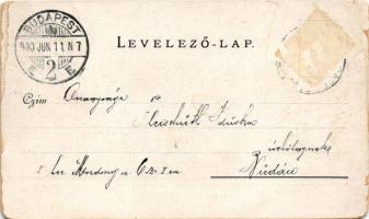 1900 Budapest VIII. M. Kir. Honvéd Ludovika Akadémia, Ludoviceum. Walter Haertel kiadása. Erdélyi fe...