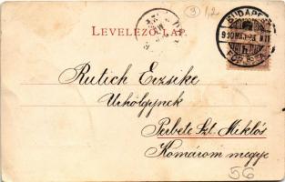 1900 Budapest VIII. M. Kir. Honvéd Ludovika Akadémia, Ludoviceum. Heller S. kiadása (EB)