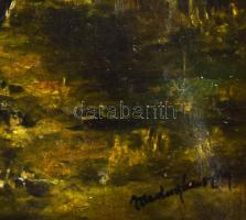 Mednyánszky jelzéssel: Táj. Olaj, vászon, sérült. 40x50 cm. Dekoratív, kissé sérült fakeretben