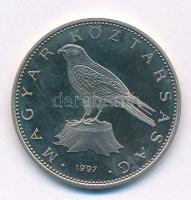 1997. 50Ft forgalmi sorból T:UNC (eredetileg PP)
Adamo F11