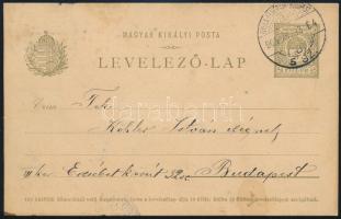 1905 Díjjegyes levelezőlap &quot;GYULA-FEHÉRVÁR-BUDAPEST&quot; vasúti mozgóposta bélyegzéssel