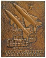 ~1970. "Magyar Néphadsereg - Honi Légvédelem" egyoldalas, öntött bronz plakett (160x200mm) T:XF / Hungary ~1970. "Hungarian People's Army - Homeland Air Defense" one-sided, cast bronze plaque (160x200mm) C:XF