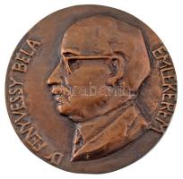 DN "Dr. Fenyvessy Béla emlékérem" bronz emlékérem (75mm) T:AU / Hungary ND "Dr. Béla Fenyvessy medal" bronze medallion (75mm) C:AU