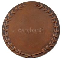 DN "Dr. Fenyvessy Béla emlékérem" bronz emlékérem (75mm) T:AU / Hungary ND "Dr. Béla ...