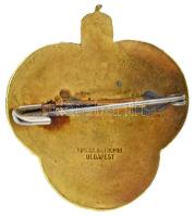 1911. "M.Á.V. (Magyar Állami Vasutak) Gépgyár Sportkör Kerékpár Osztály" zománcozott, aran...