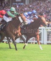 Hecker Walter: Híres versenylovaink. Szerk.: Brenyó József. A szerző, Dr. Hecker Walter (1937- ) hip...