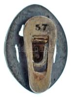 ~1910. "Magyar Football Trénerek Testülete" zománcozott, jelzetlen Ag gomblyukjelvény &quo...