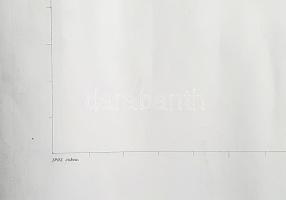 [Térkép] A Szatmár vármegyei Mezőpetri határának tagosítási térképe: Reszegi és Dengelegi dűlők. (19...