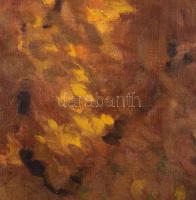 Boromisza Tibor jelzéssel: Ősz. Olaj, vászon. Javított, dublírozott. Dekoratív fakeretben, 75×78,5 c...