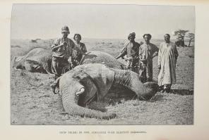 Höhnel, [Ludwig von] Lajos: A Rudolf és Stefánia tavakhoz. Teleki Sámuel gróf felfedező útja Kelet-A...