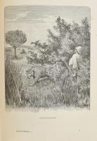 Höhnel, [Ludwig von] Lajos: A Rudolf és Stefánia tavakhoz. Teleki Sámuel gróf felfedező útja Kelet-A...