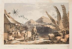 Zimmermann, W. F. A.: Die Inseln des indischen und stillen Meeres. I. Theile. Reise eines holländisc...