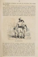 Zimmermann, W. F. A.: Die Inseln des indischen und stillen Meeres. I. Theile. Reise eines holländisc...