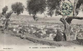 Algiers olive garden with folkwear