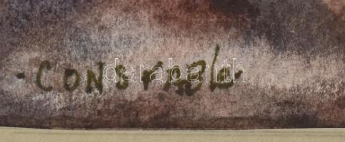 Leonore Constable (1906-2005): Sirályok a vízparton. Akvarell, papír. Jelezve balra lent. Paszpartub...