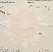 1830 - 1844 A reformkor 1830-1844 közötti törvényeinek hiteles kiadásai az uralkodó magánlevéltárábó...