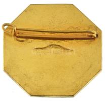 DN "Magyar Autóklub" aranyozott, zománcozott bronz nyolcszögletű autós kitűző (30mm) T:XF ...