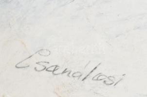 Csanálosi Tibor (1969- ): Női arc. Akvarell, vegyes technika., Jelzett 30x40 cm