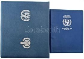 1979. A gyermekév emlékére kiadott, 19db-os ezüst emlékérme tétel, benne: Etióp, Bolivia, Jordán, Le...