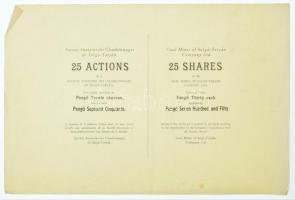 Salgótarján DN "Salgó-Tarjáni Kőszénbánya Rt." 25 részvénye 30P-ről darabonként (3x), ango...