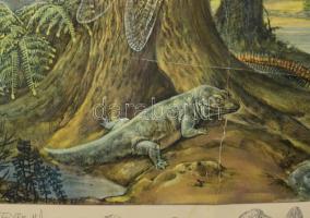 Őslényeket bemutató oktató tábla, kis gyűrődésekkel 100x80 cm Hátoldalán ragasztással megerősítve