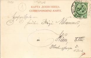 1901 Pale (Sarajevo), Blau's Etablissement / inn, restaurant