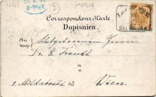 1898 (Vorläufer) Banja Luka, Banjaluka; general view, mosque. Schneider & Lux Art Nouveau, flora...