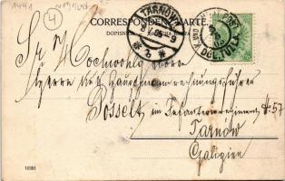 1905 Tuzla, Dolnja Tuzla; Westseite / general view, mosque. Alleinverlag J. Schnürmacher (EK)