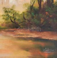 Vojnits Richárd (1942-): Csatorna. Olaj, farost, jelzett. kissé sérült fakeretben, 50x80 cm